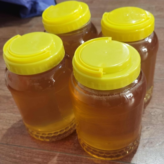 绥棱县原始森林椴树蜜