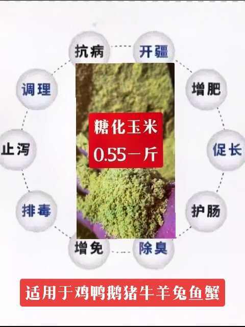 伊川县糖化玉米0.55米一斤有能量有蛋白，富含多种氨基粗蛋白熟的哦