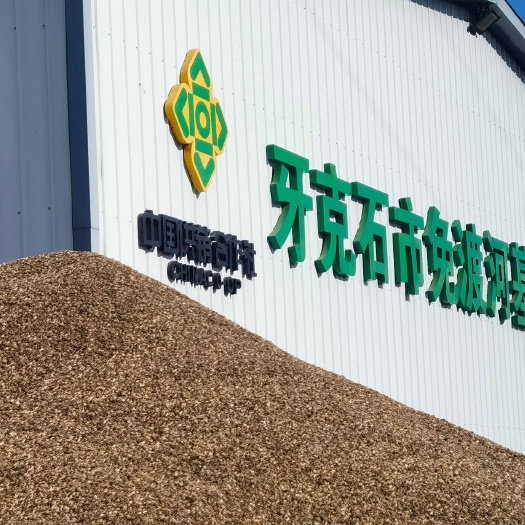 牙克石市水飞蓟