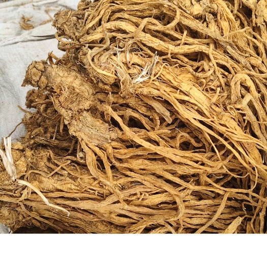 甘肃独活水洗个子，颜色金黄，质量很好。
