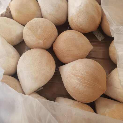 上海泰国椰皇，量大从优