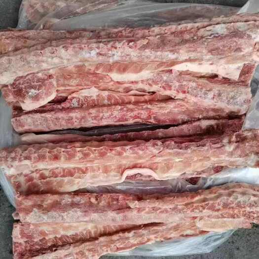临沂126多肉龙骨