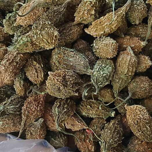 苦瓜干，小个苦瓜干，中药材