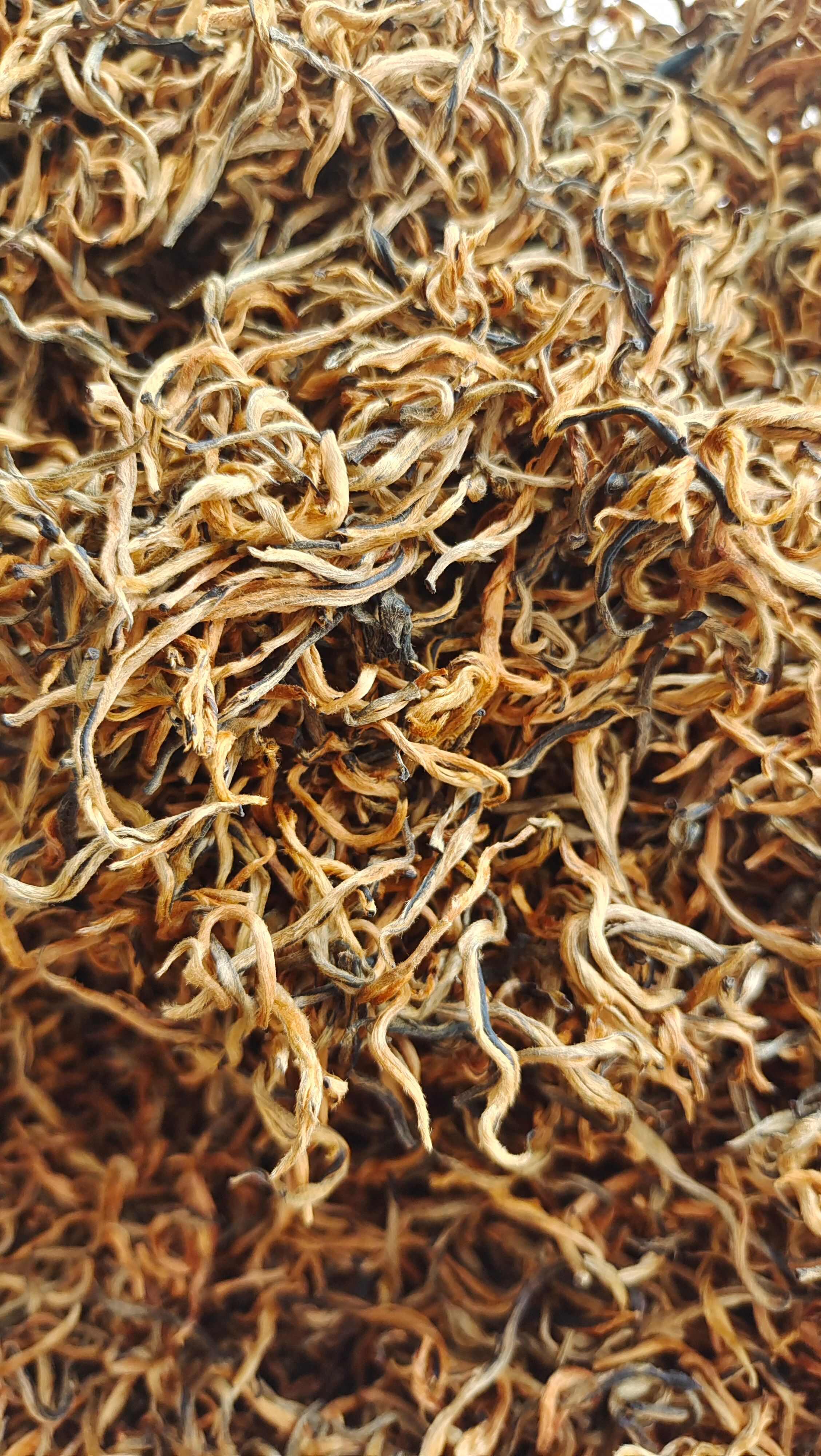 批发云南滇红凤庆工夫红茶金丝滇红250克盒装不好喝包退