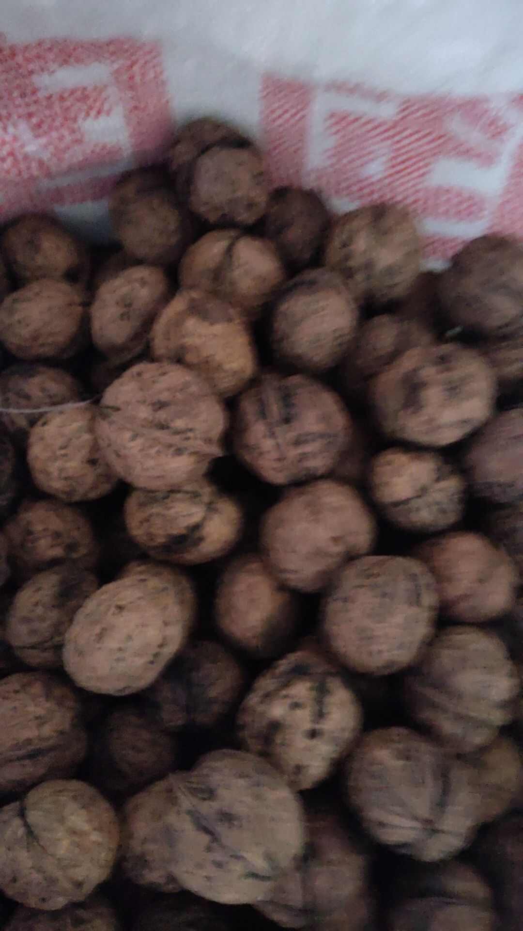 云南大果中果核桃干货