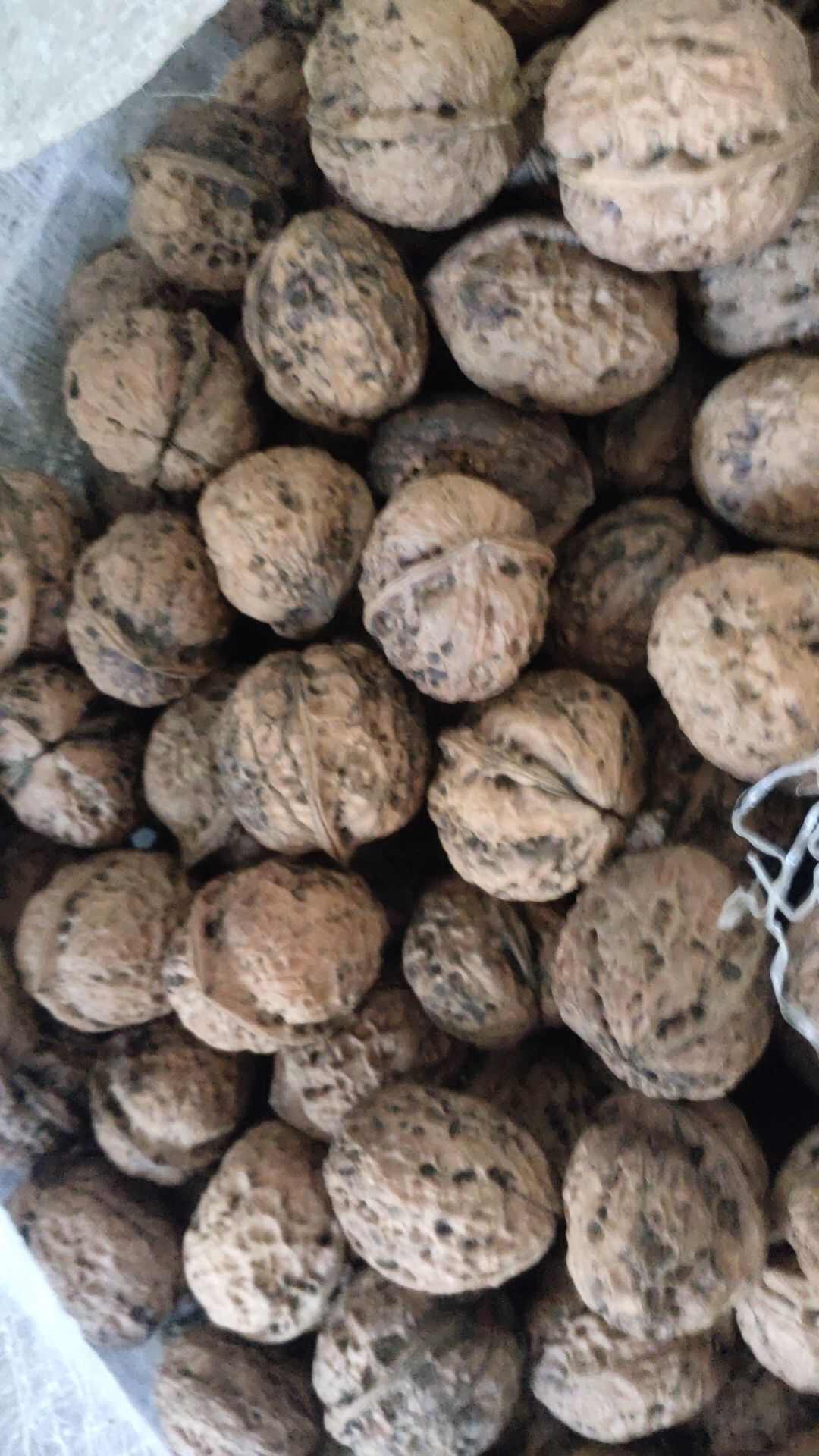云南大果中果核桃干货
