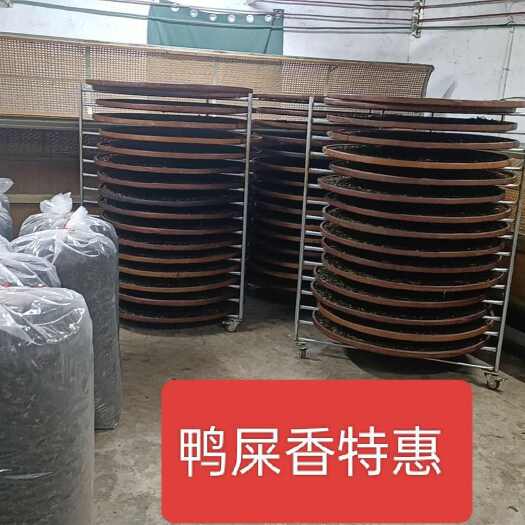 饶平县鸭屎香《优惠》工厂直批，欢迎洽谈