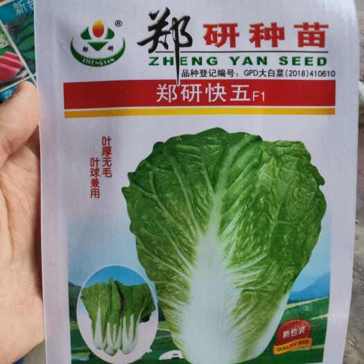 长沙郑研快五白菜种子，10克