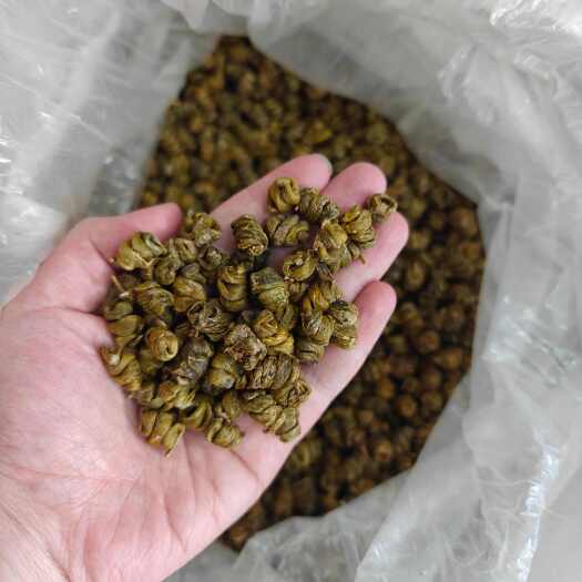 普宁市珍虫石斛真虫石斛枫斗，石斛界的爱马仕，味道很香，胶质好，无渣
