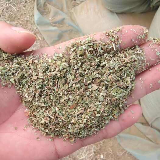 正阳县蛋白质含量百分之14