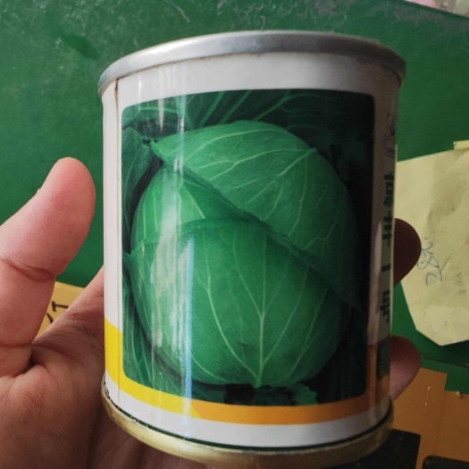 南昌京丰一号甘蓝种子，50克