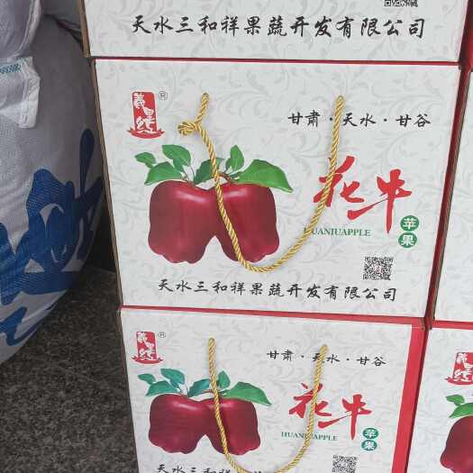 甘谷县花牛