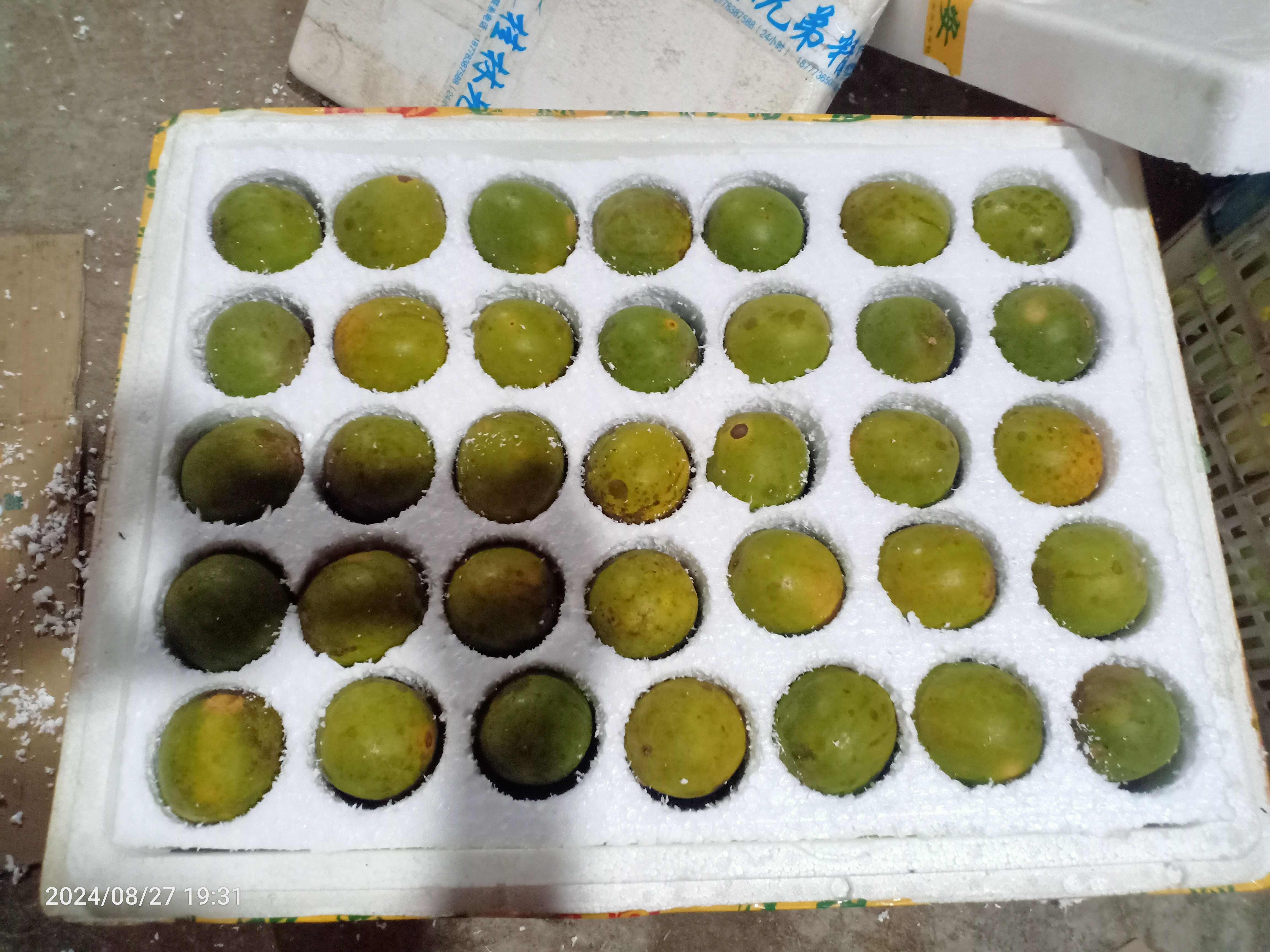 罗汉果鲜果