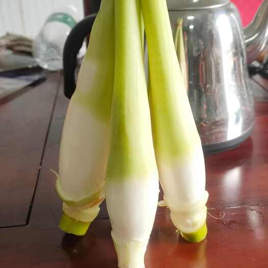 贺州电商货 次等货