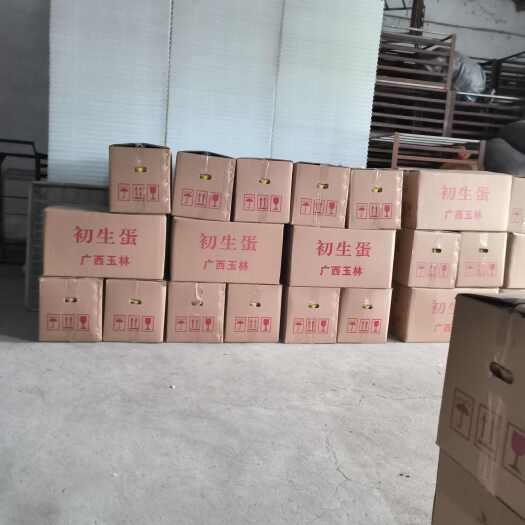玉林广西玉林土鸡蛋，欢迎各位老板下单