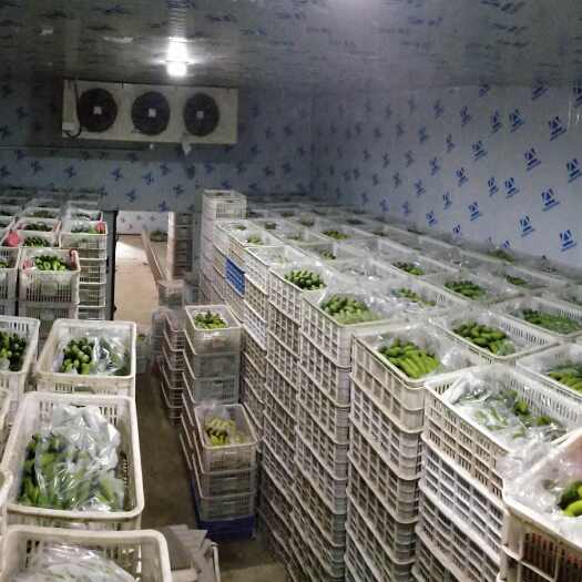 南宁威廉斯香蕉