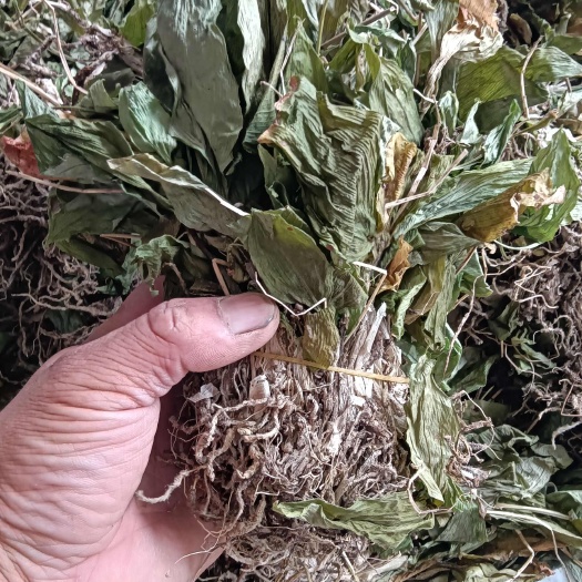 宁强县见血清干货出售矮杆水洗货
