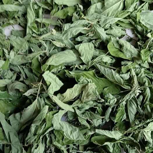 建水县云南种植基地常年供应木豆叶，根，枝，花，面向全国批发零售