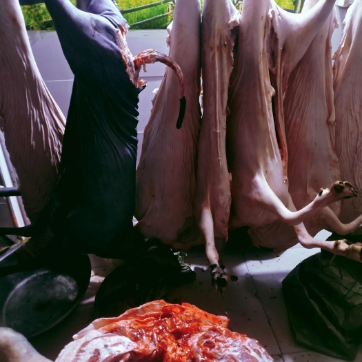 九江羊肉