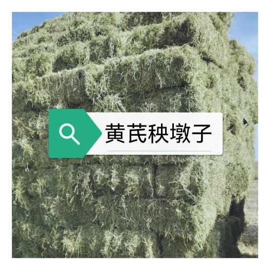 民乐县甘肃黄芪秧，黄芪上市了