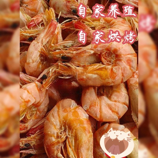 青岛青岛大号烤虾大虾干大对虾