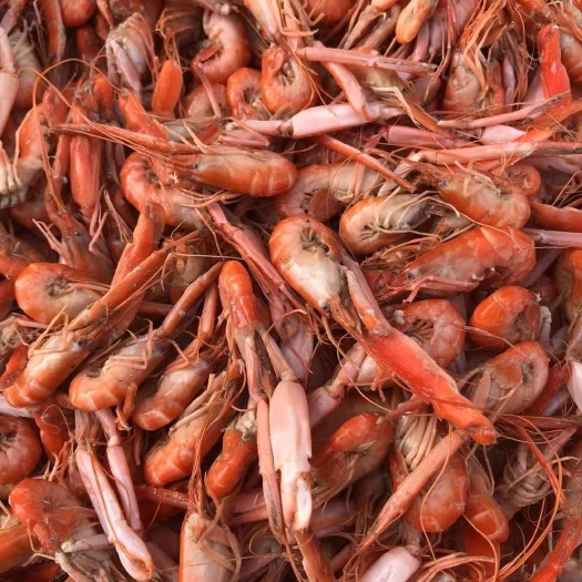 滨州渤海湾爪虾，产地直销，价格优惠