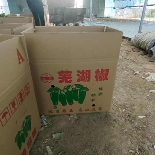 费县芜湖辣椒
