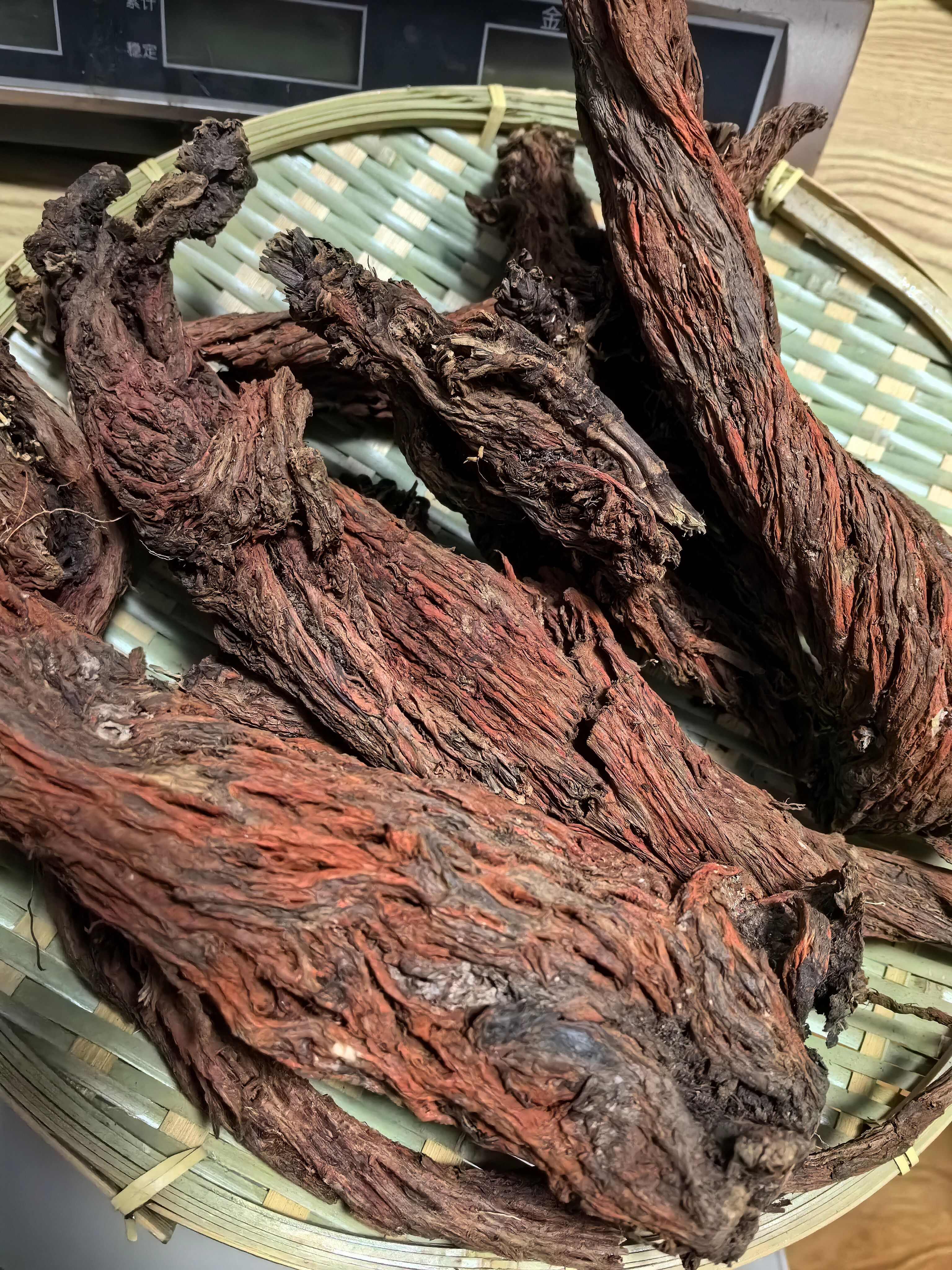 西藏丹参 紫花丹参