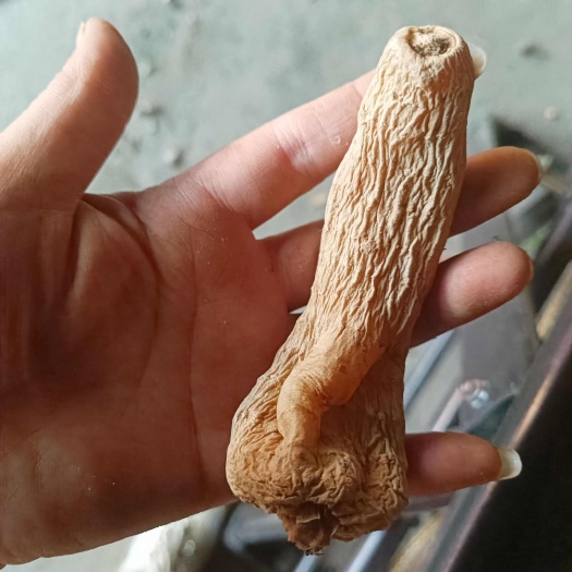 南召县天麻个无硫天麻个批发一一一
保汤营养滋补就是它