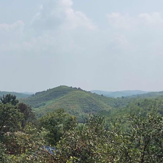 常宁市大量荒山流转出租！