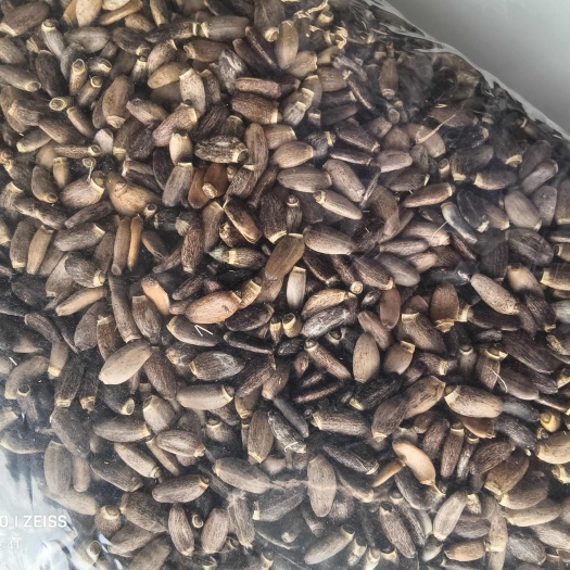 牙克石市大量出售水飞蓟