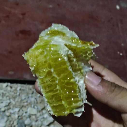 重庆市今年新收高山蜂蜜，另外有多年老蜜，按年份定价，有需要可以联系