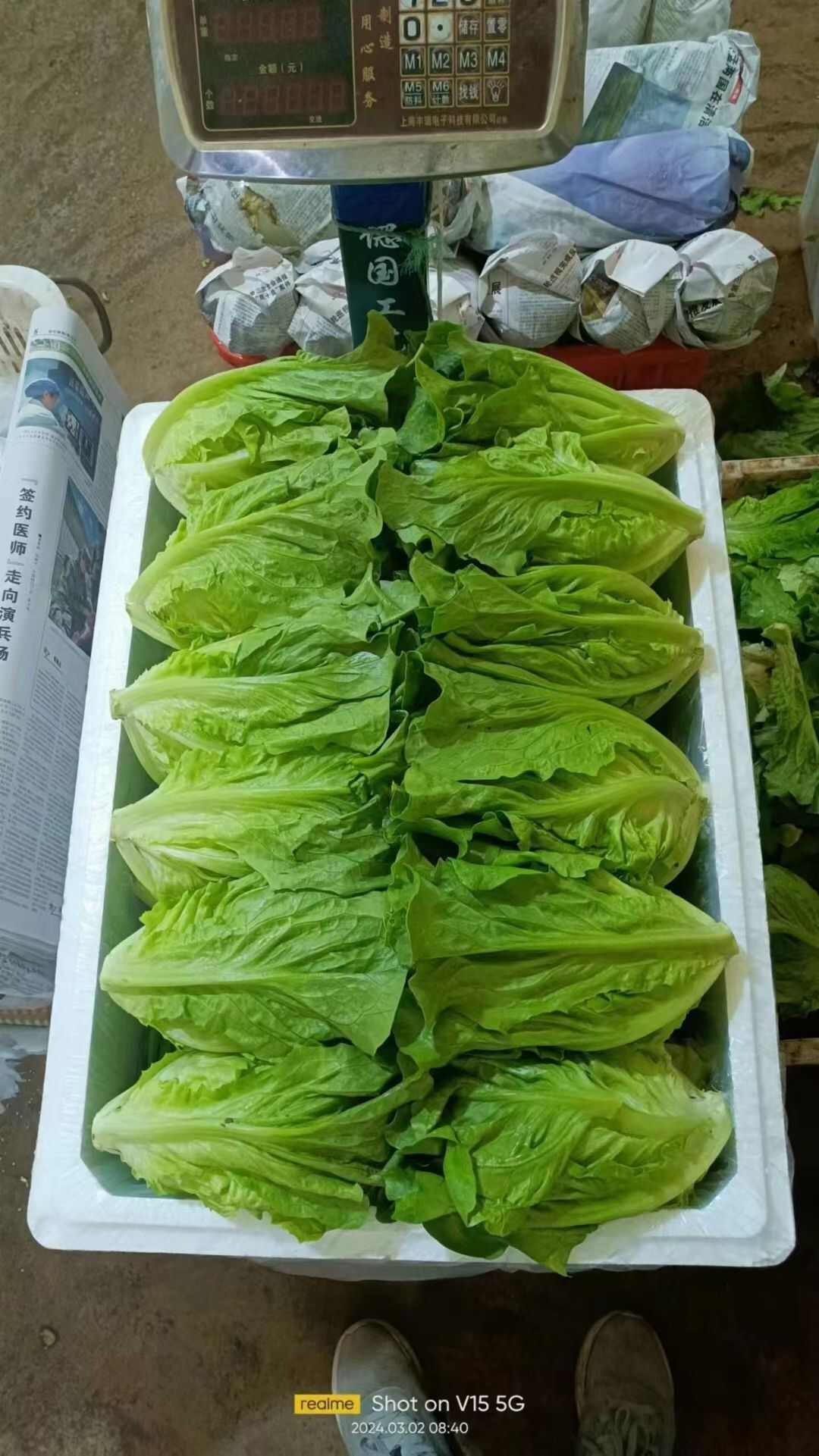 意大利