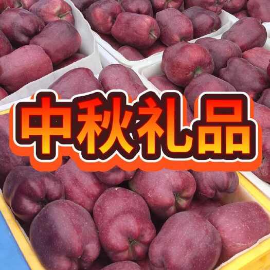 甘谷县花牛