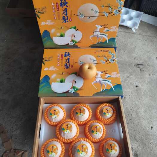 砀山县秋月梨 梨 礼盒装 化渣好 甜度高