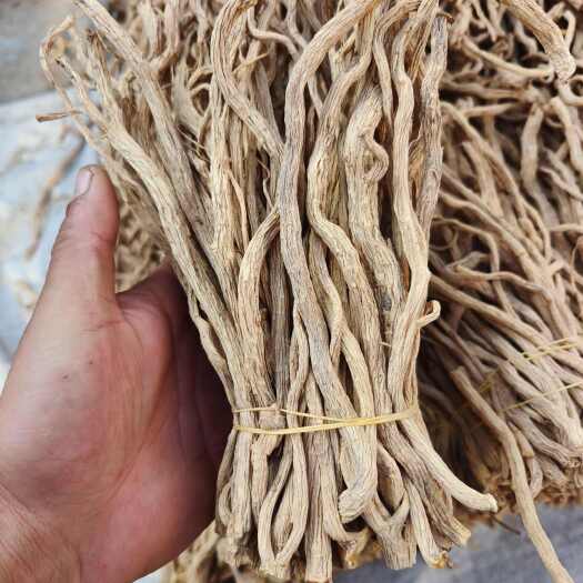 陇西县精品防风尾，人工剪切，无硫，自然晾晒风干。