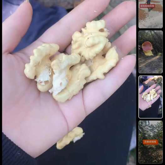 阳泉绵核桃，薄皮核桃，自家种植，不零售