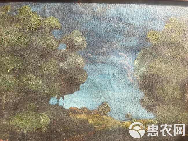 刘海粟先生油画作品，51*38cm，镜框，刘海粟，江苏武进