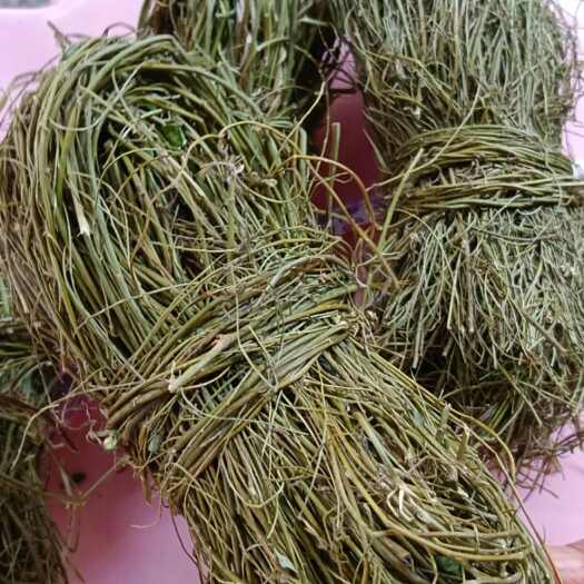 玉林相思藤，甜鸡骨草，