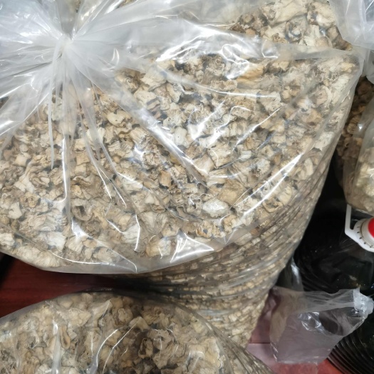 羊肚菌菌柄