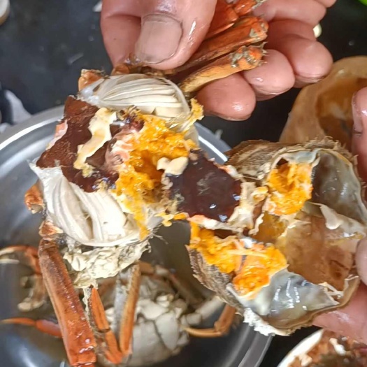 这里是河北唐山丰南区河蟹便宜喽想买质量好的螃蟹看这里