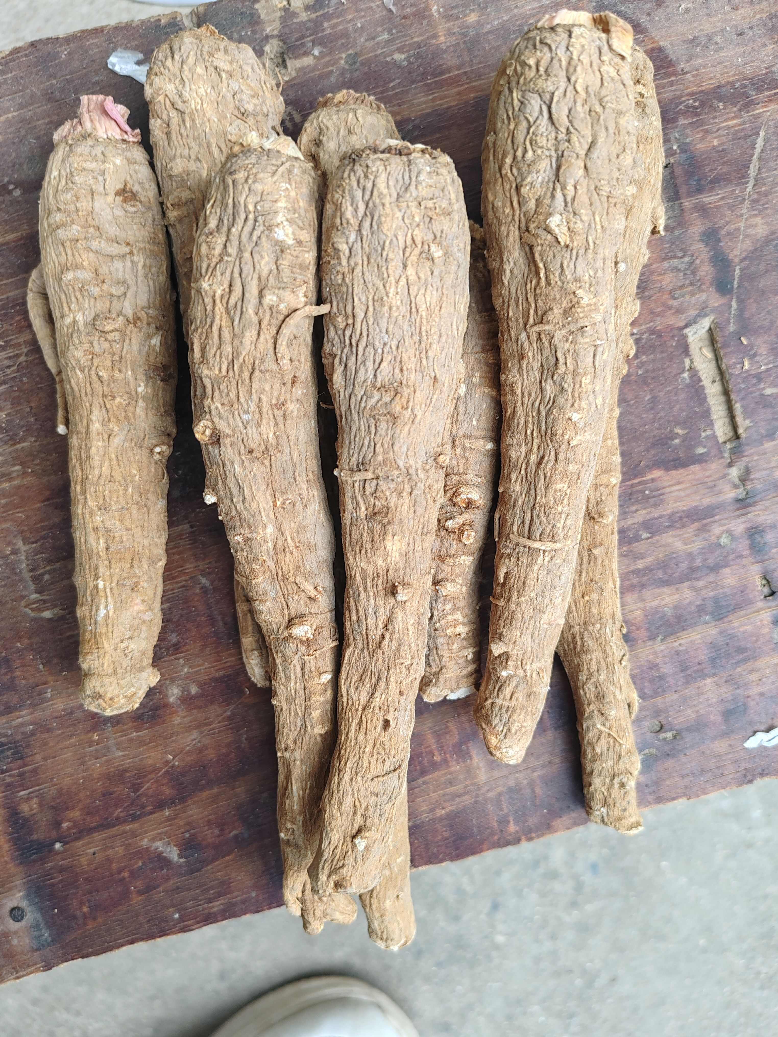 白芷