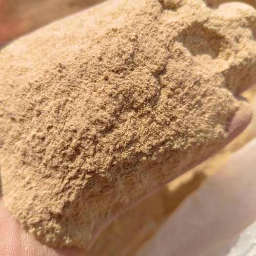 郓城县大豆胚芽粉    蛋白45   水分12