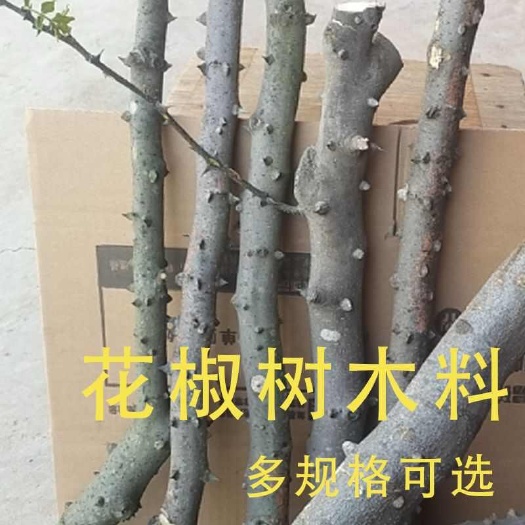 苏州新鲜花椒木直径10至15公分原木，