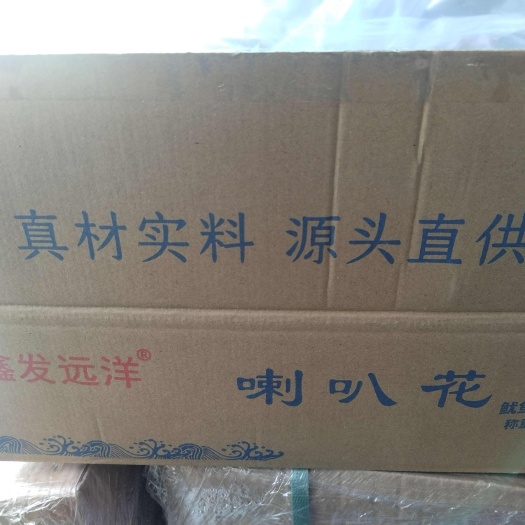 广州喇叭花