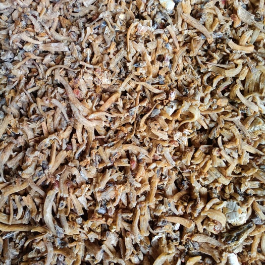 饲料熟鱼干