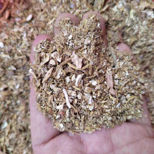邵阳金果榄碎颗粒