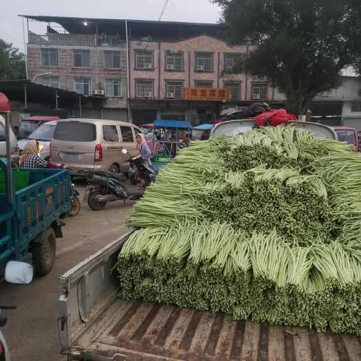 南宁豆角