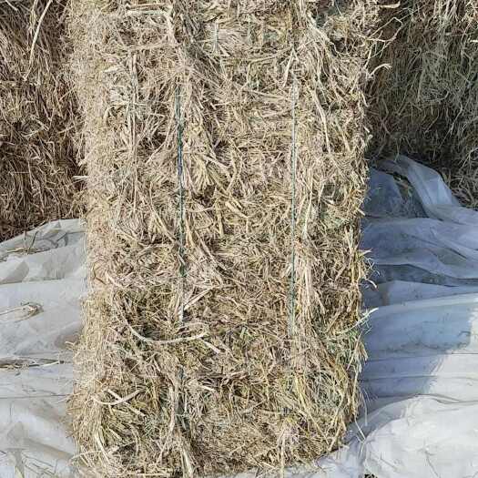 钟祥市干稻草 原稻草 小方捆 无土 无霉 一捆30斤左右