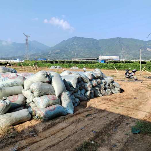 钟山县谷壳鸡屎出售